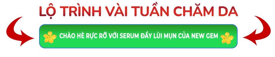 lo-trinh-cham-da-Newgem